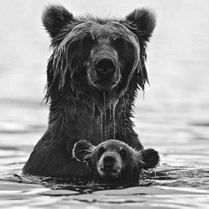 Meet your Posher, Mary-helen